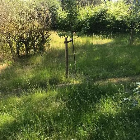 Apartament Gemuetliche An Der Elbe *