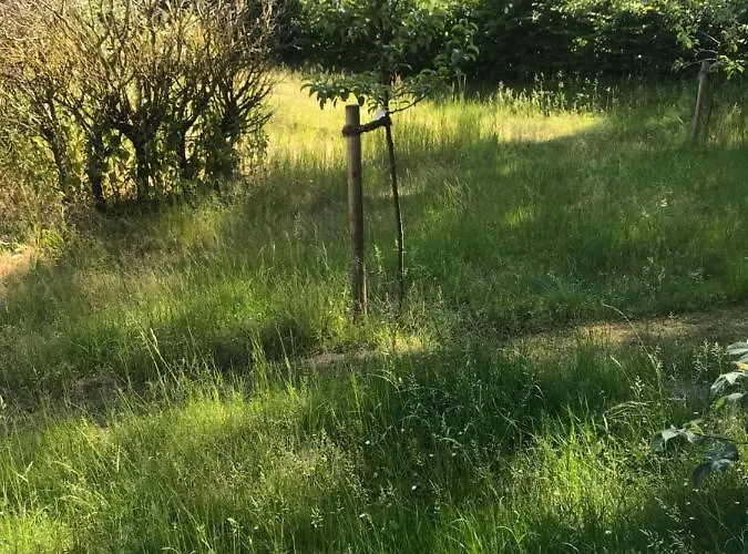 Lägenhet Gemuetliche An Der Elbe *